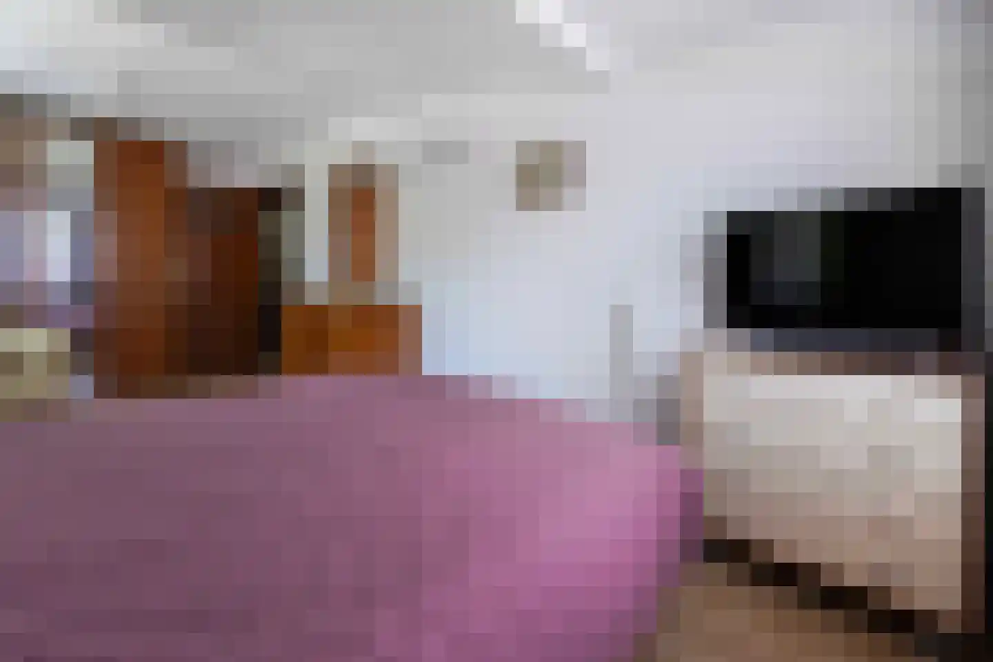 Kanjelkant 7 Maastricht thumbnail 23