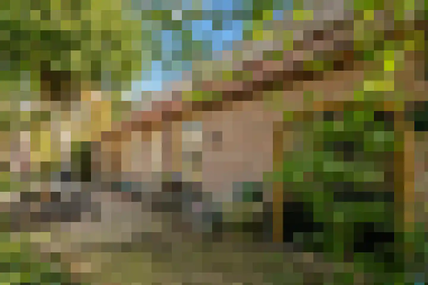 Kannelustweg 8 Aarle-Rixtel thumbnail 6