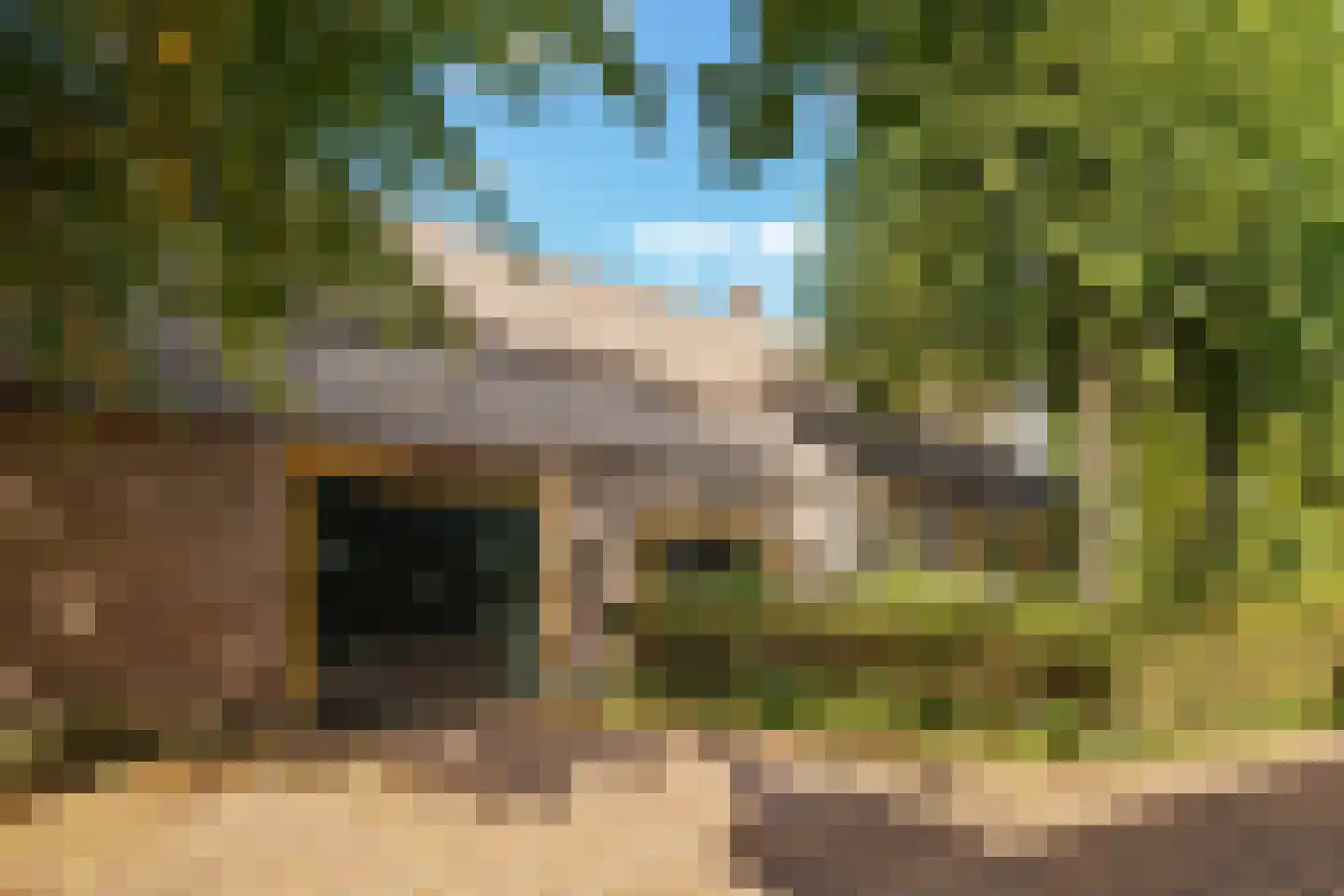 Kannelustweg 8 Aarle-Rixtel thumbnail 7