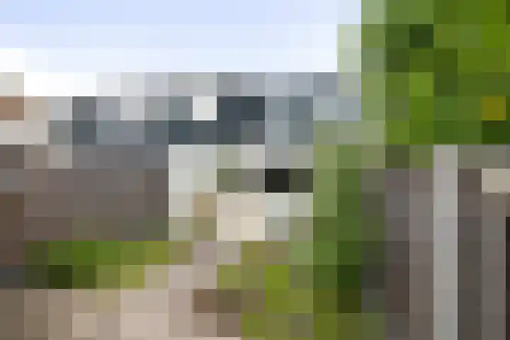 Kannenburg 206 Deventer thumbnail 17