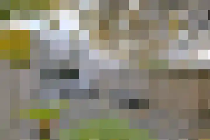 Kannenburg 431 in Deventer