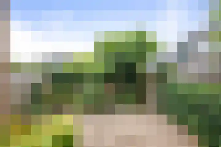 Kannenburg 704 Deventer thumbnail 22