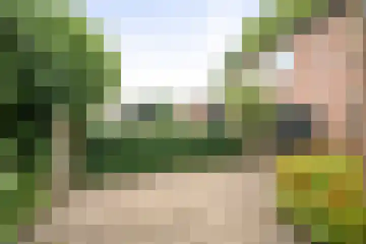 Kannenburg 704 Deventer thumbnail 23