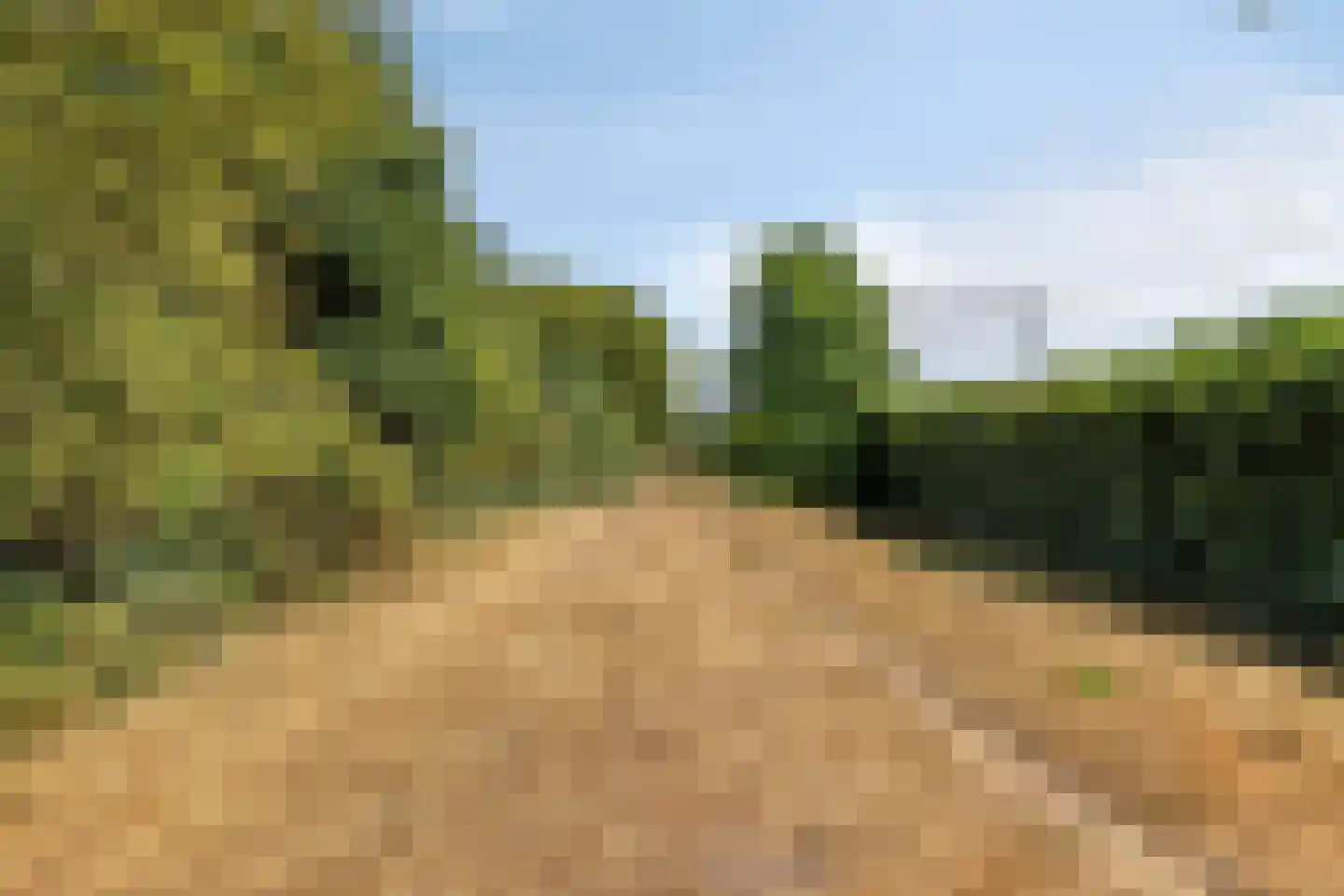 Kannenburg 713 Deventer thumbnail 43