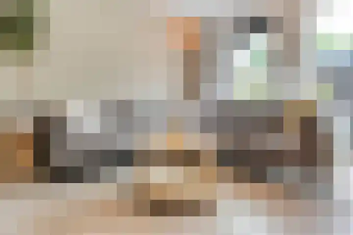 Kannenmakerstraat 15 Zwolle thumbnail 10