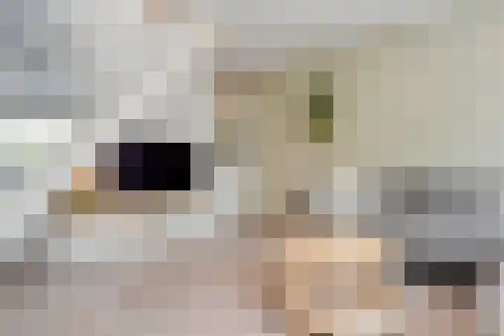 Kannenmakerstraat 15 Zwolle thumbnail 11