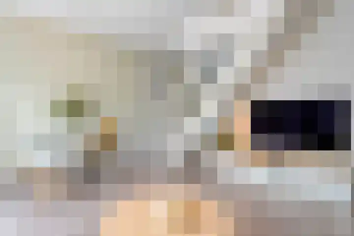 Kannenmakerstraat 15 Zwolle thumbnail 12
