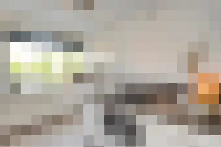 Kannenmakerstraat 15 Zwolle thumbnail 14