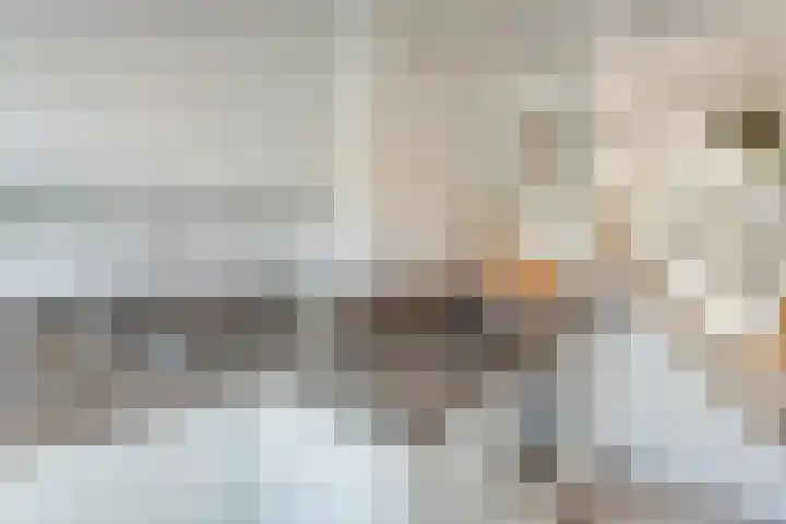 Kannenmakerstraat 15 Zwolle thumbnail 15