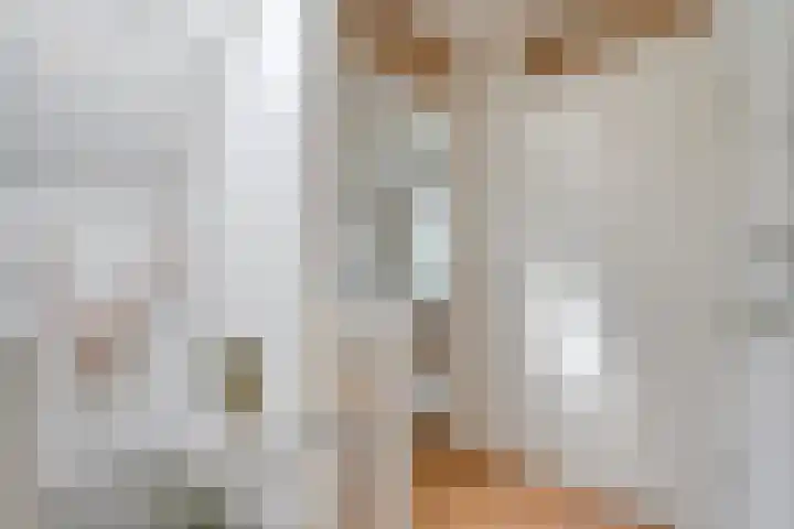 Kannenmakerstraat 15 Zwolle thumbnail 17