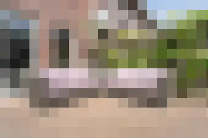 Kannenmakerstraat 15 Zwolle thumbnail 28