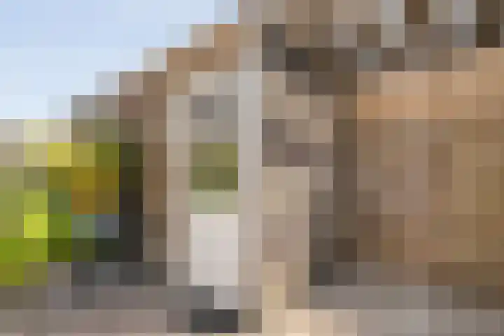 Kannenmakerstraat 15 Zwolle thumbnail 29