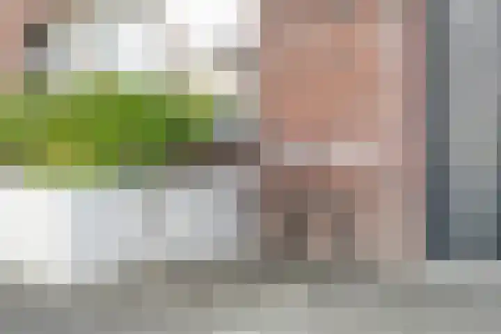 Kannenmakerstraat 15 Zwolle thumbnail 5