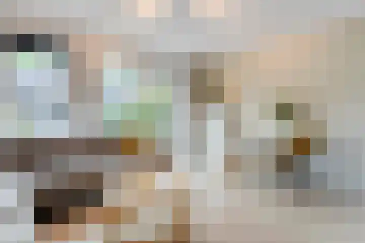 Kannenmakerstraat 15 Zwolle thumbnail 8