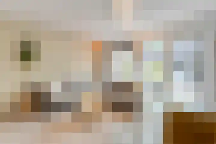 Kannenmakerstraat 15 Zwolle thumbnail 9