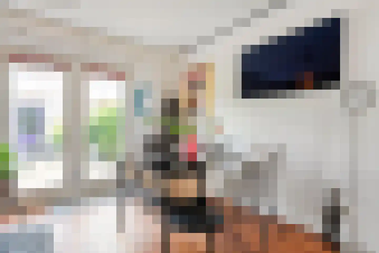 Kannenmakerstraat 19 Zwolle thumbnail 10