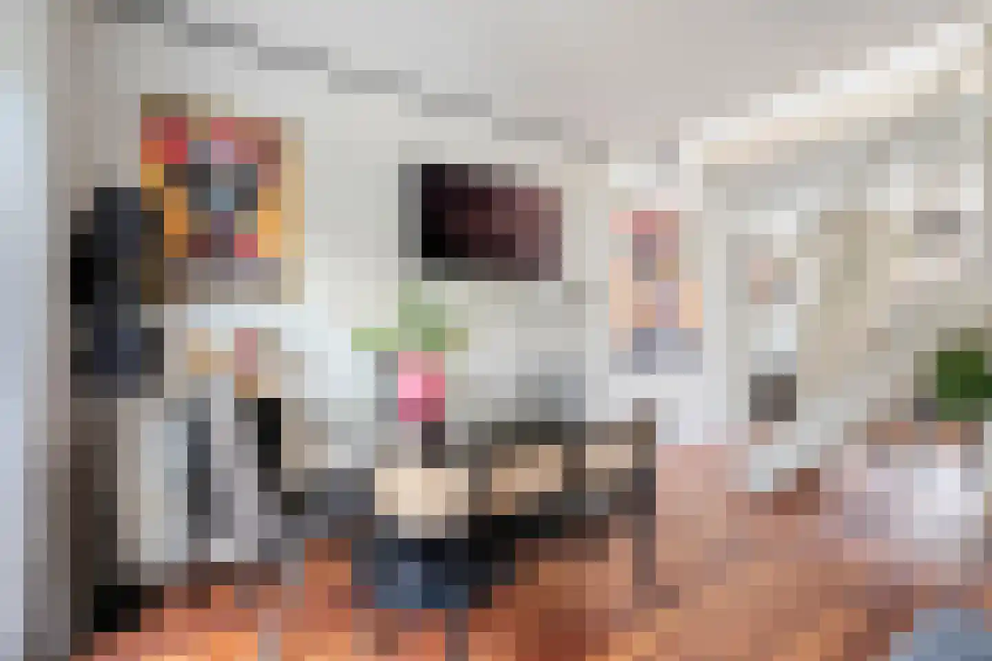 Kannenmakerstraat 19 Zwolle thumbnail 11