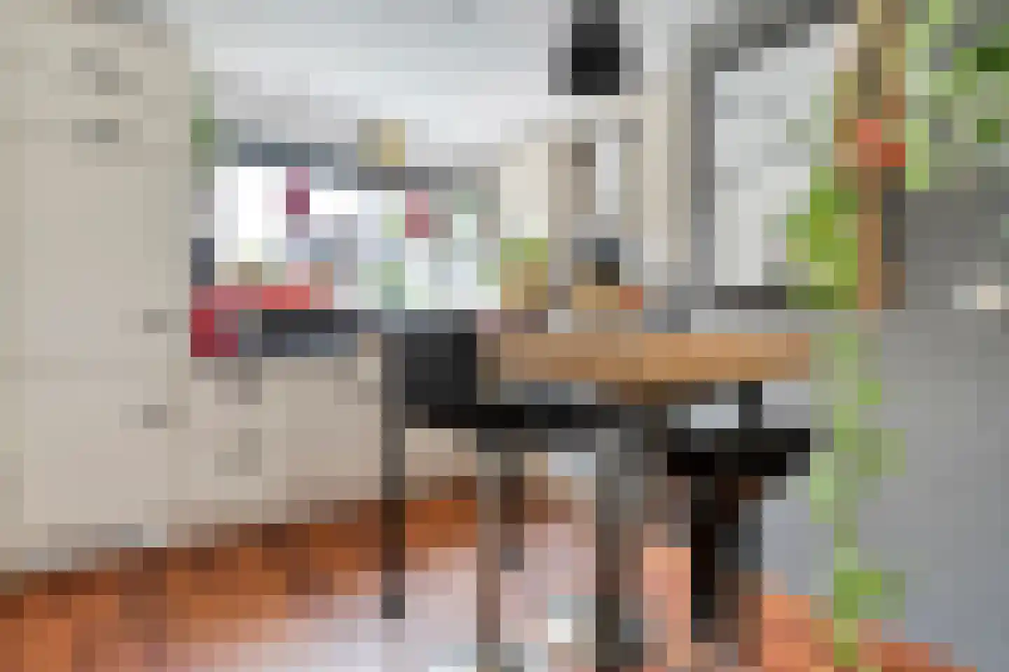 Kannenmakerstraat 19 Zwolle thumbnail 12
