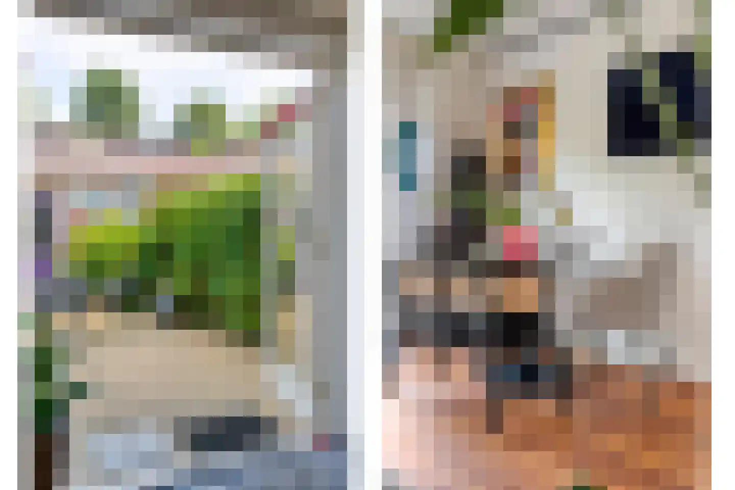 Kannenmakerstraat 19 Zwolle thumbnail 14