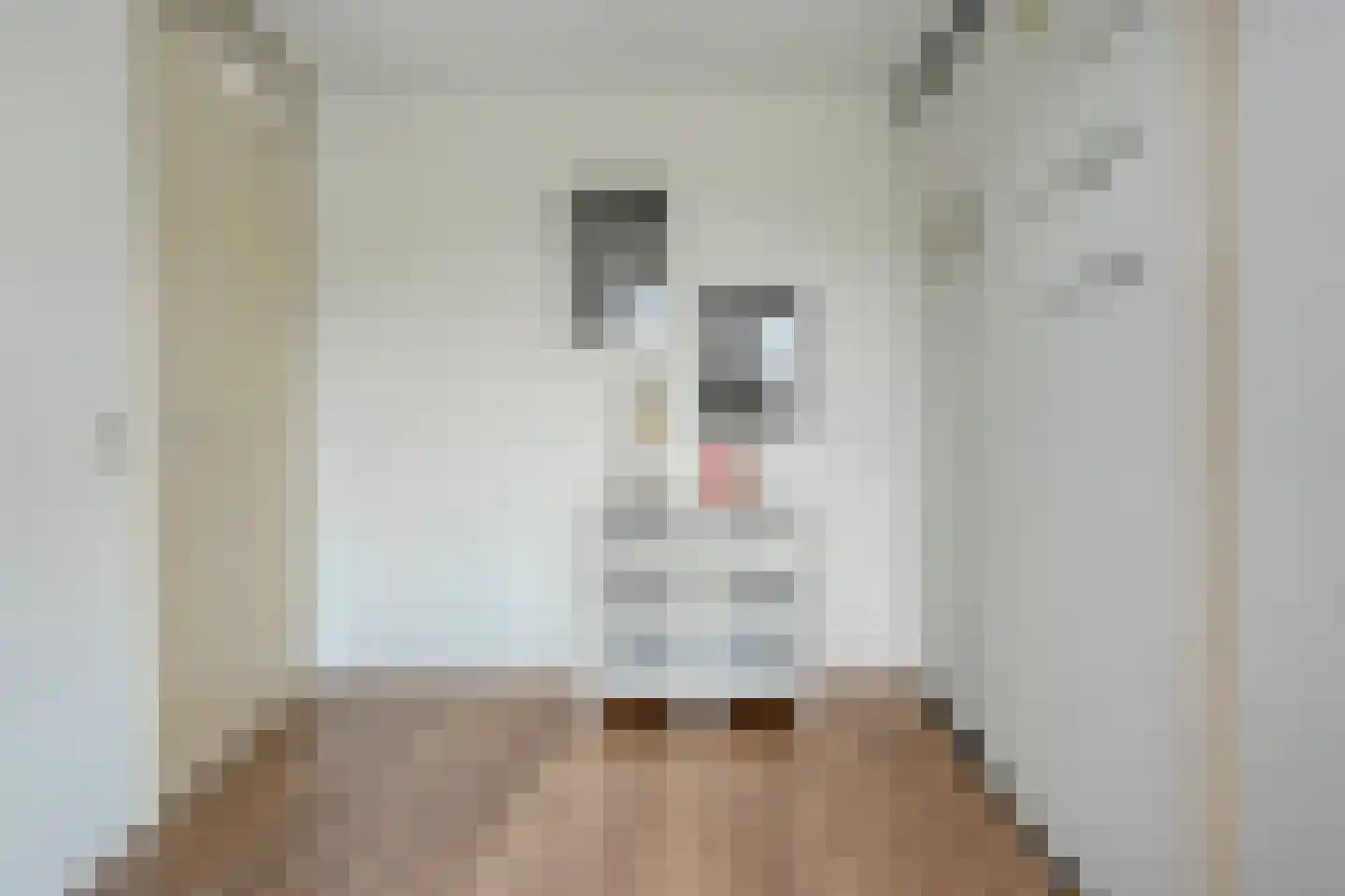 Kannenmakerstraat 19 Zwolle thumbnail 20