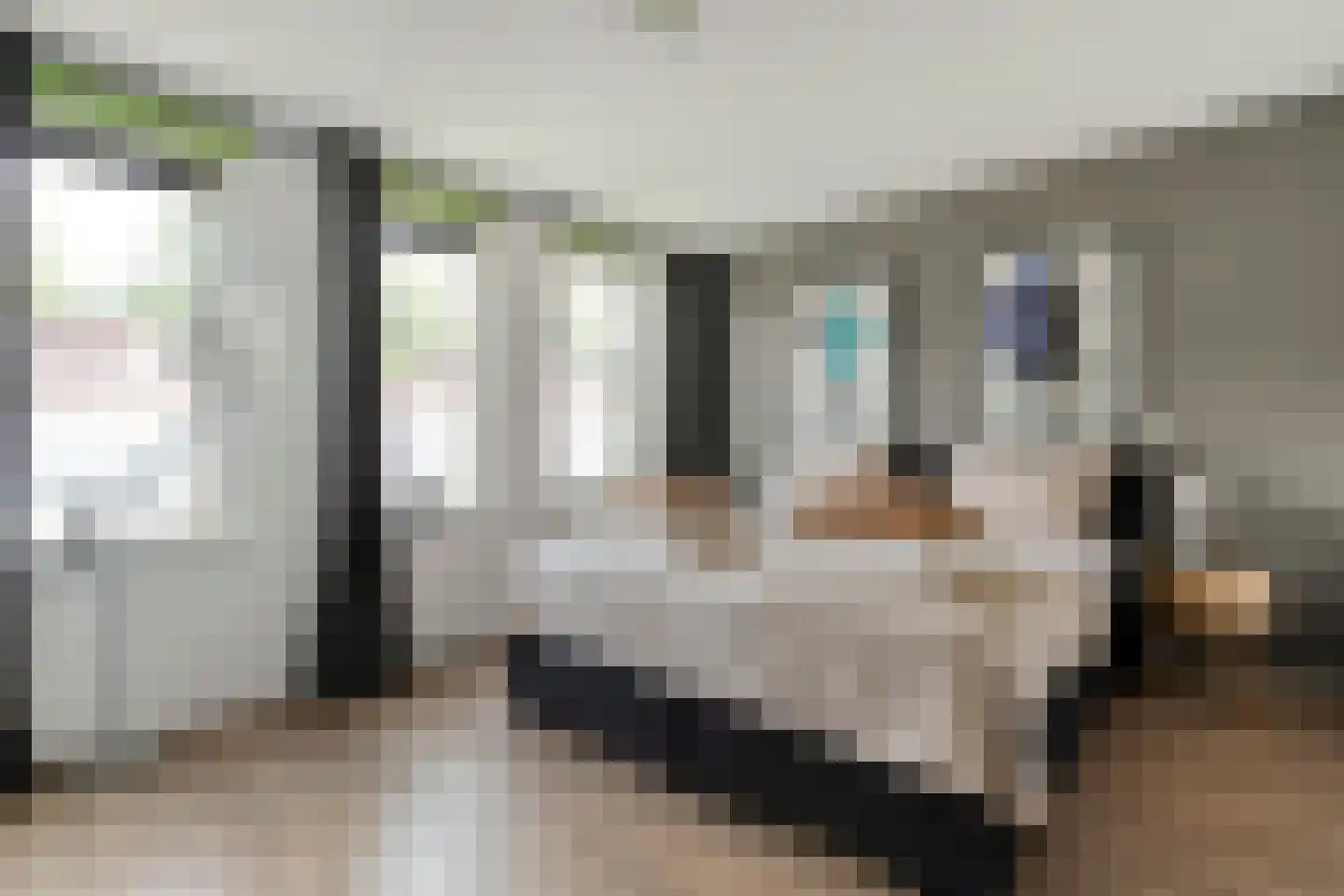 Kannenmakerstraat 19 Zwolle thumbnail 21
