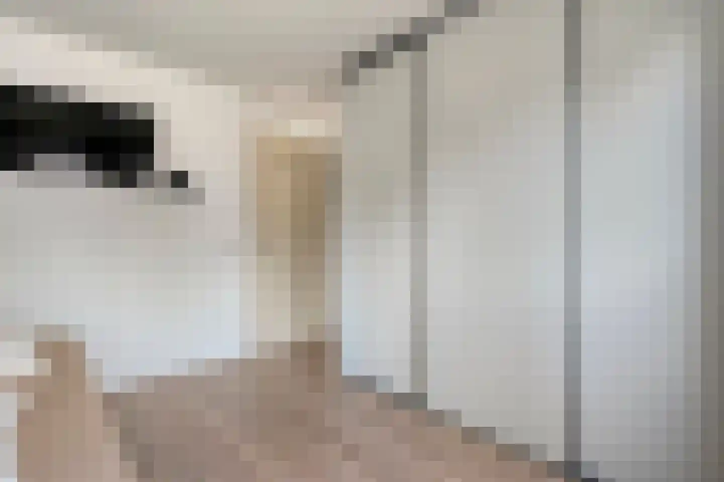 Kannenmakerstraat 19 Zwolle thumbnail 23