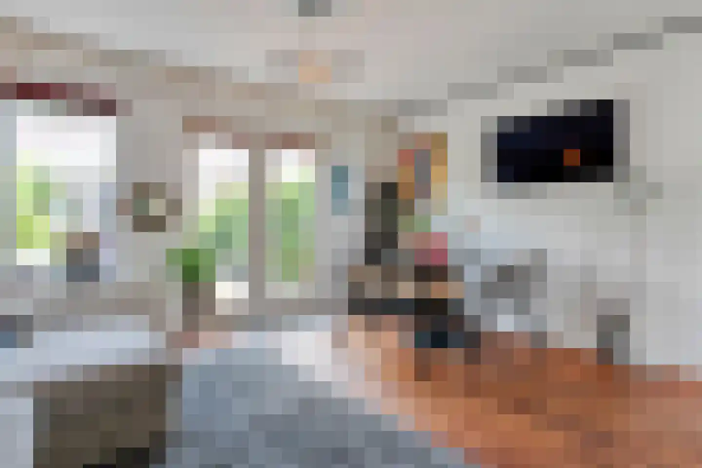 Kannenmakerstraat 19 Zwolle thumbnail 7