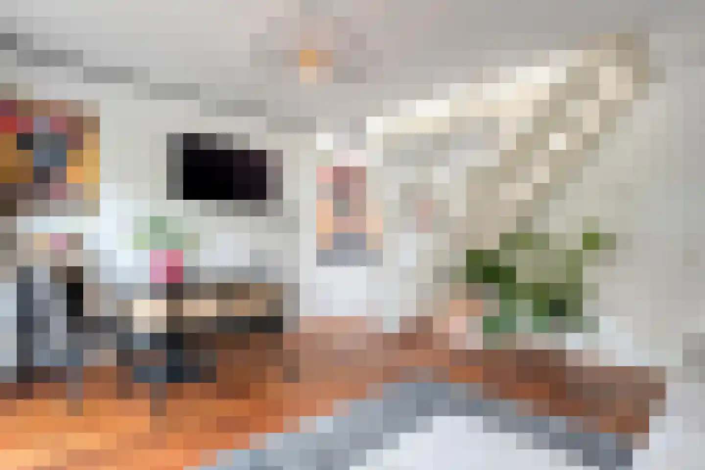 Kannenmakerstraat 19 Zwolle thumbnail 9