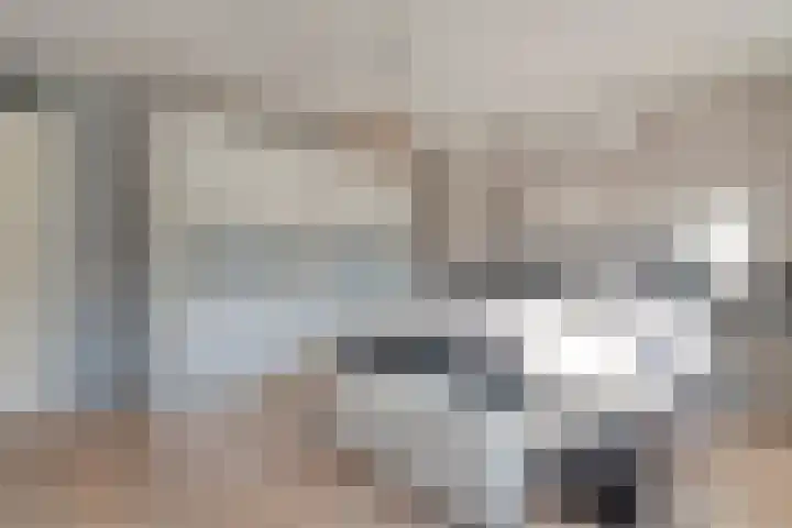 Kannenmakerstraat 23 Zwolle thumbnail 21