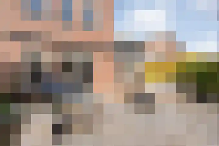 Kannenmakerstraat 23 Zwolle thumbnail 28