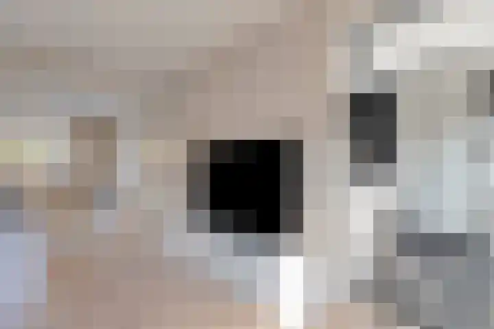 Kannenmakerstraat 23 Zwolle thumbnail 8