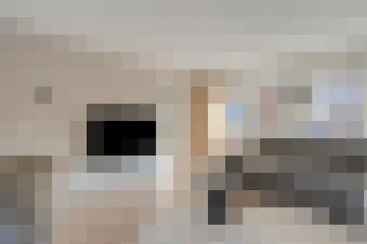 Kannenmakerstraat 23 Zwolle thumbnail 9