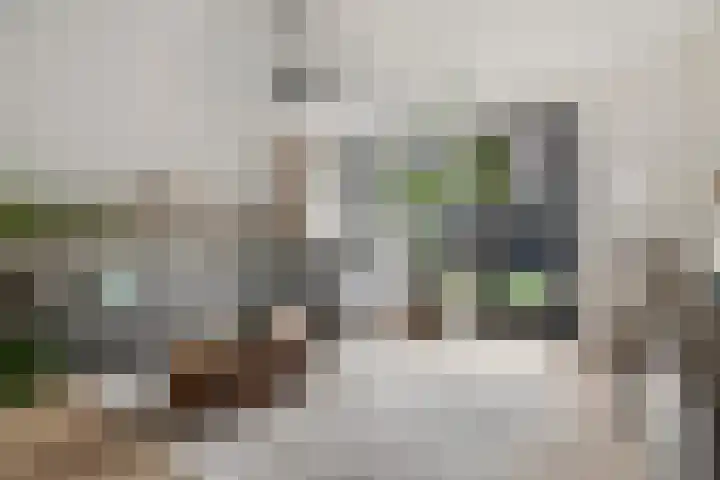 Kannenmakerstraat 29 Zwolle thumbnail 12