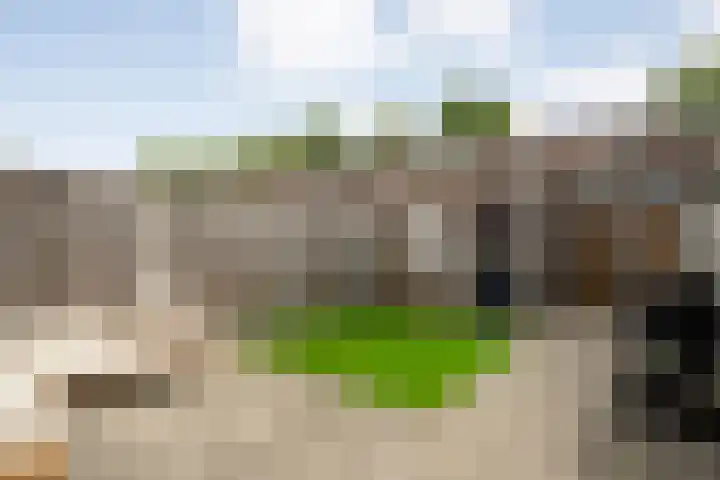Kannenmakerstraat 29 Zwolle thumbnail 30