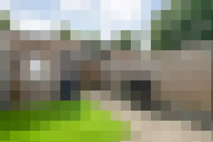 Kannenmakerstraat 29 Zwolle thumbnail 31