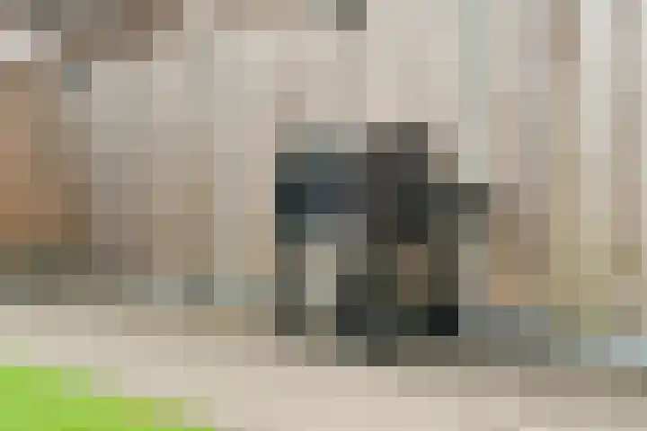 Kannenmakerstraat 29 Zwolle thumbnail 34