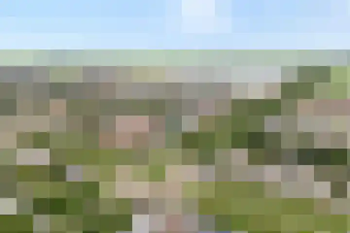Kannenmakerstraat 29 Zwolle thumbnail 4