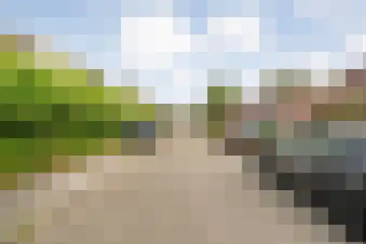 Kannenmakerstraat 29 Zwolle thumbnail 5