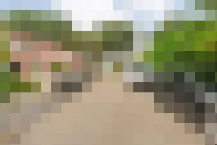 Kannenmakerstraat 29 Zwolle thumbnail 6