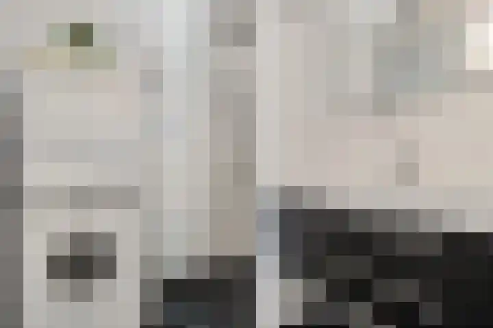 Kannenmakerstraat 3 Zwolle thumbnail 13