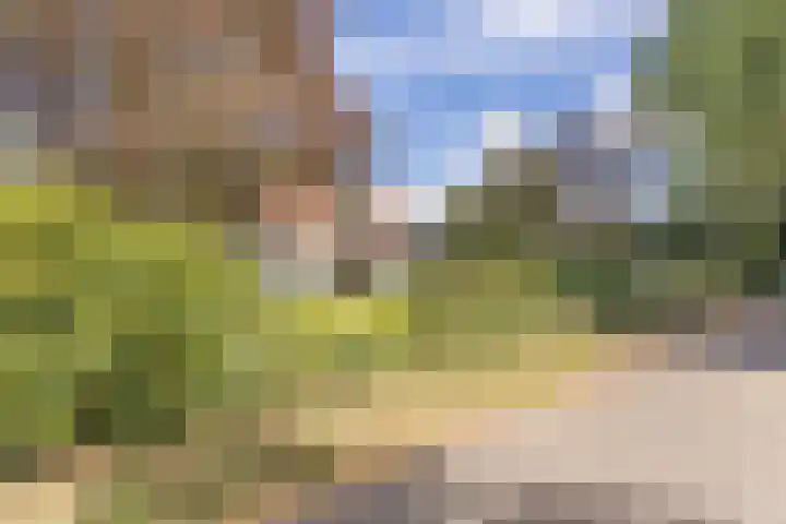 Kannewielseweg 14 c Halsteren thumbnail 11