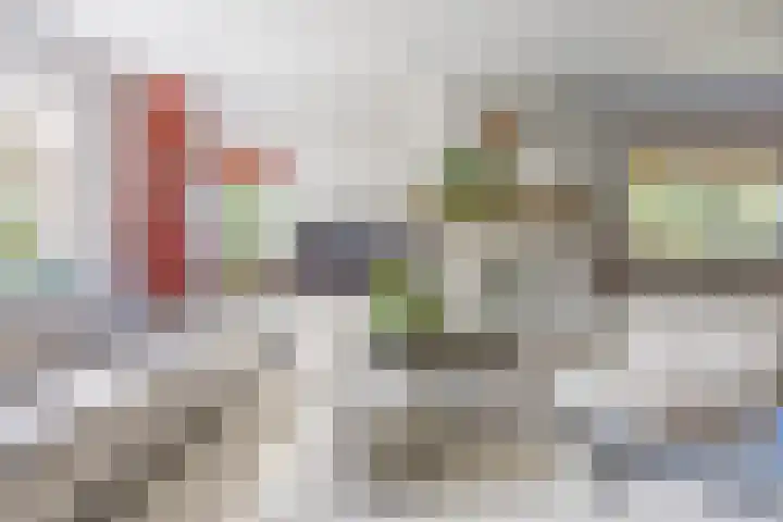 Kannewielseweg 14 c Halsteren thumbnail 12
