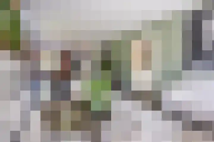 Kannewielseweg 14 c Halsteren thumbnail 13