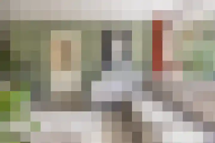 Kannewielseweg 14 c Halsteren thumbnail 14