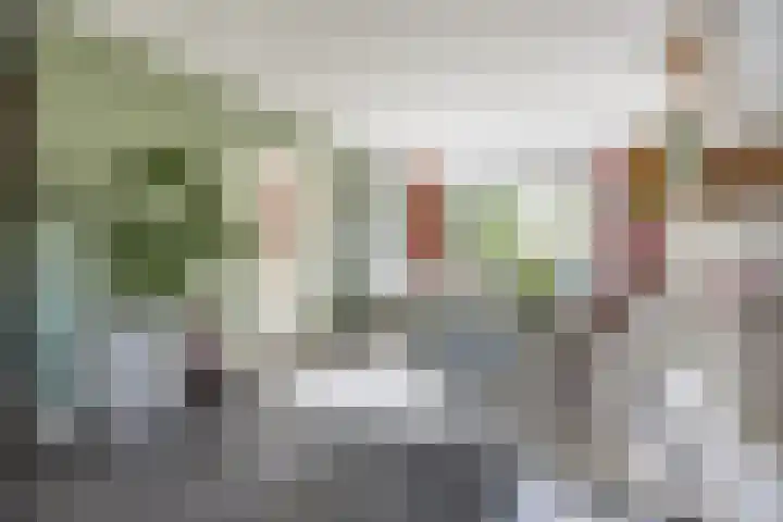 Kannewielseweg 14 c Halsteren thumbnail 15