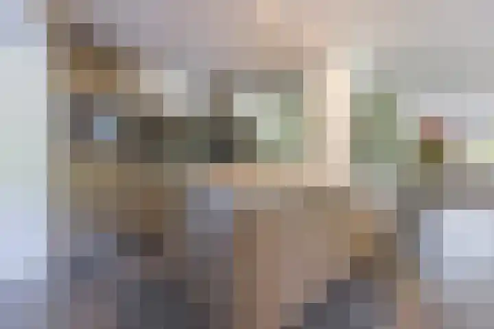Kannewielseweg 14 c Halsteren thumbnail 22
