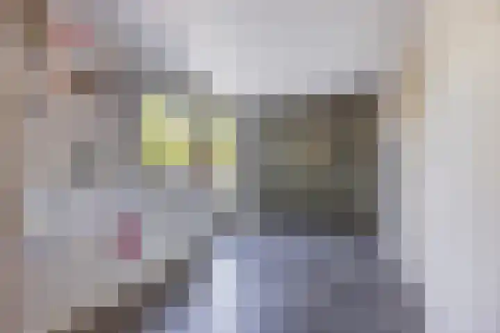 Kannewielseweg 14 c Halsteren thumbnail 23