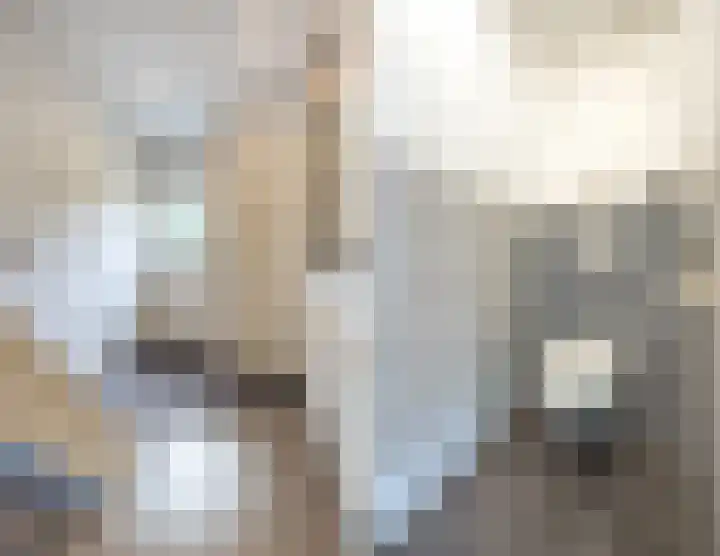 Kannewielseweg 14 c Halsteren thumbnail 32