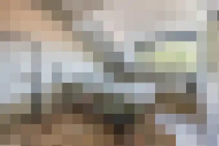 Kannewielseweg 14 c Halsteren thumbnail 33