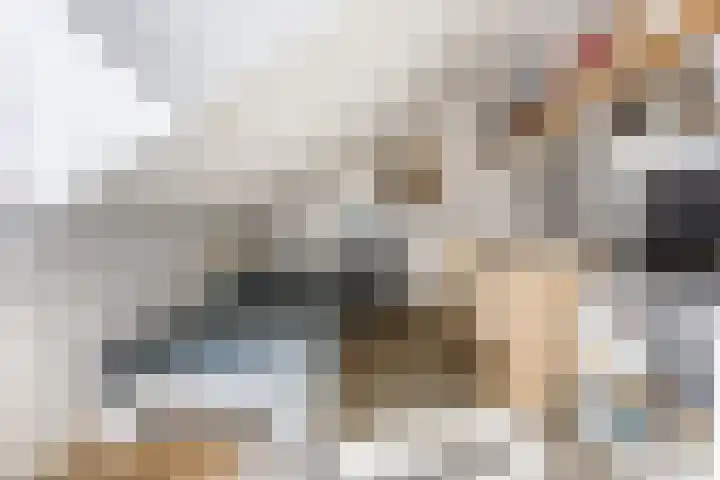 Kannewielseweg 14 c Halsteren thumbnail 36